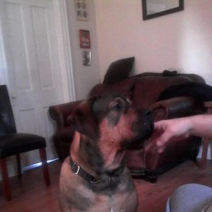 Meet your Posher, Belinda